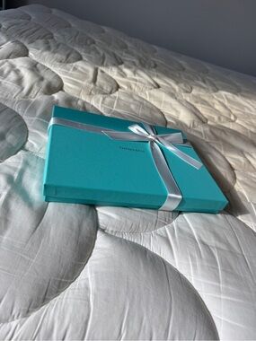 Tiffany & Co. Robin's Egg Blue Box with White Ribbon